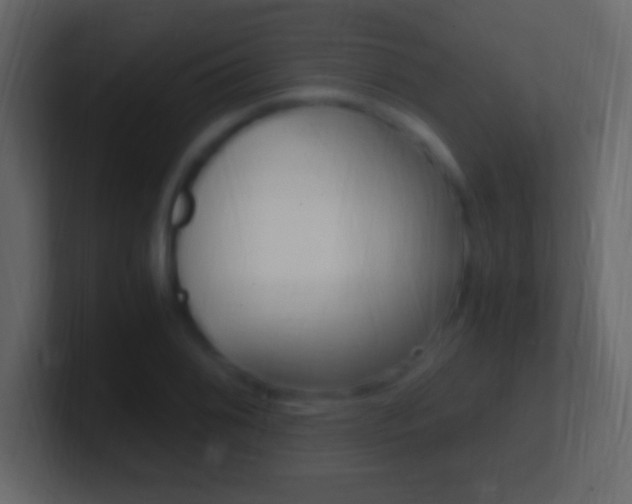 X0000101441076200807071022