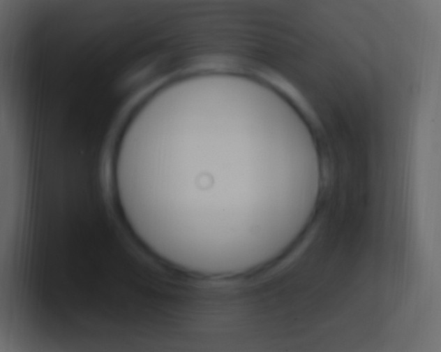 X0000101441078200807071022