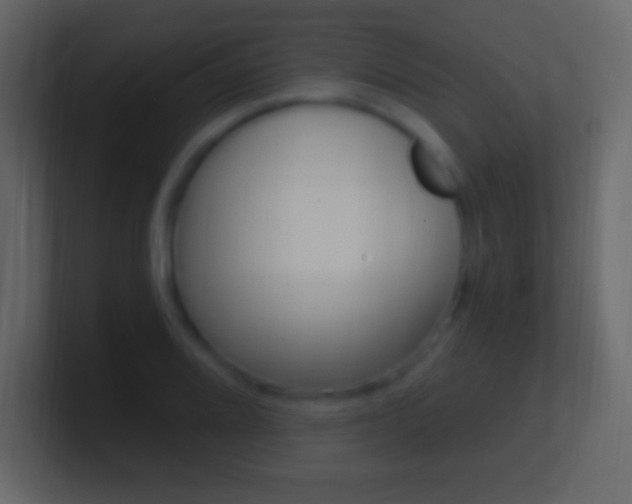 X0000101441080200807071022