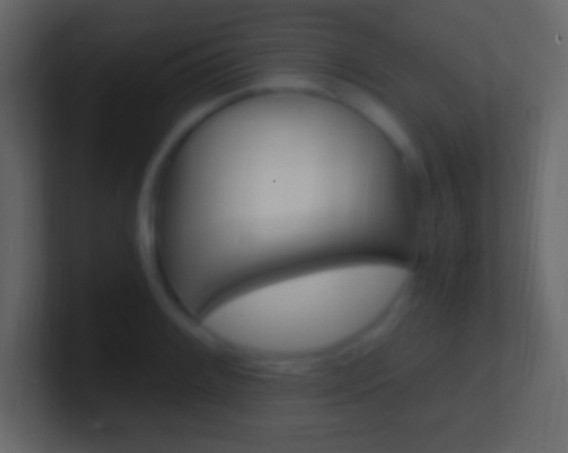 X0000101441084200807071022