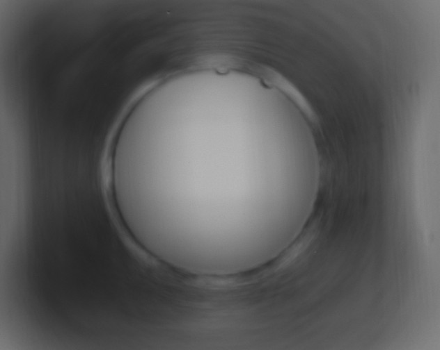 X0000101441095200807071022