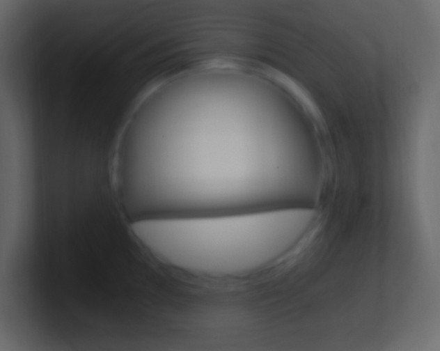 X0000101441097200807071021