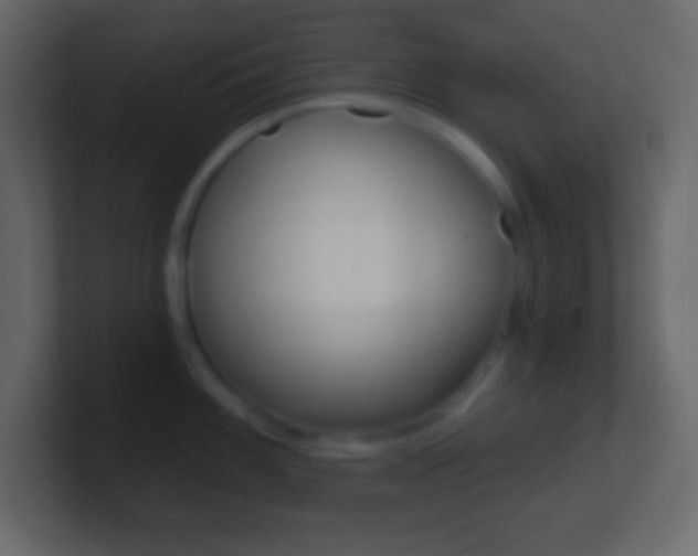 X0000101441100200807071021