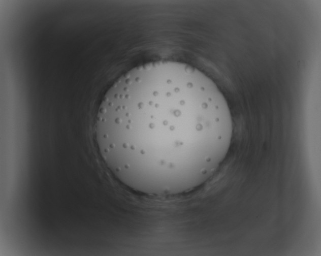 X0000101441105200807071021