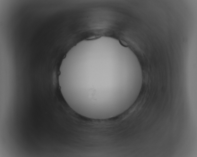 X0000101441106200807071021