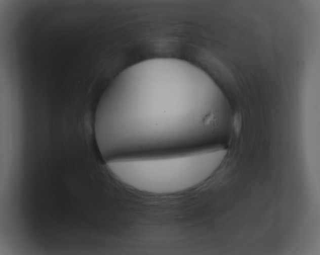 X0000101441107200807071021