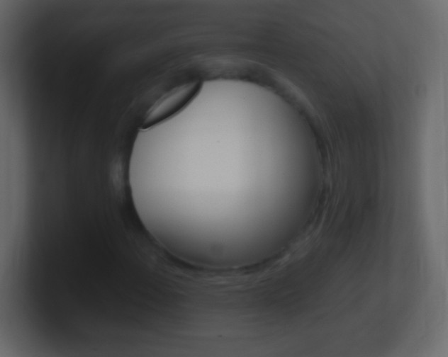 X0000101441108200807071021