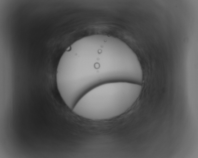 X0000101441109200807071021
