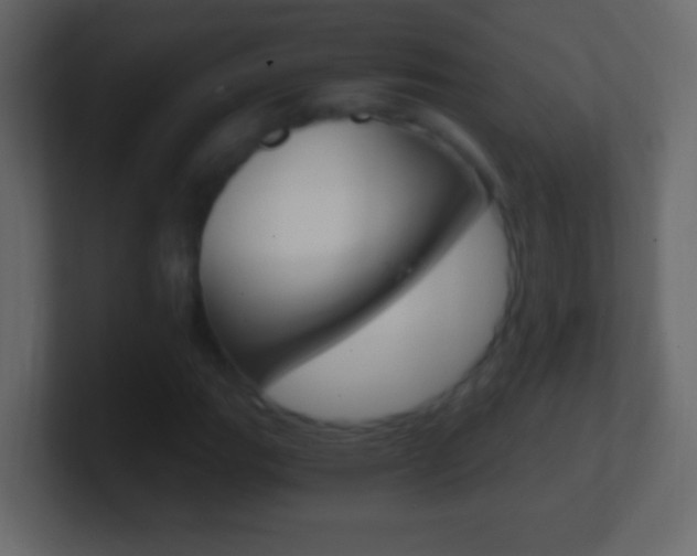 X0000101441111200807071021