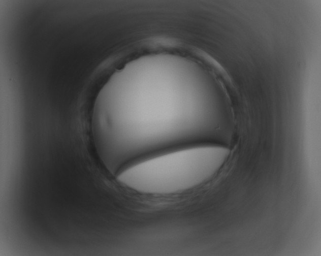 X0000101441112200807071021