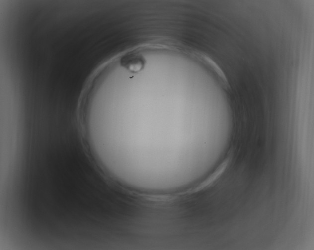 X0000101441114200807071021