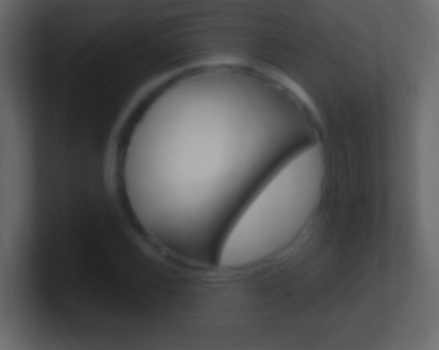 X0000101441116200807071021