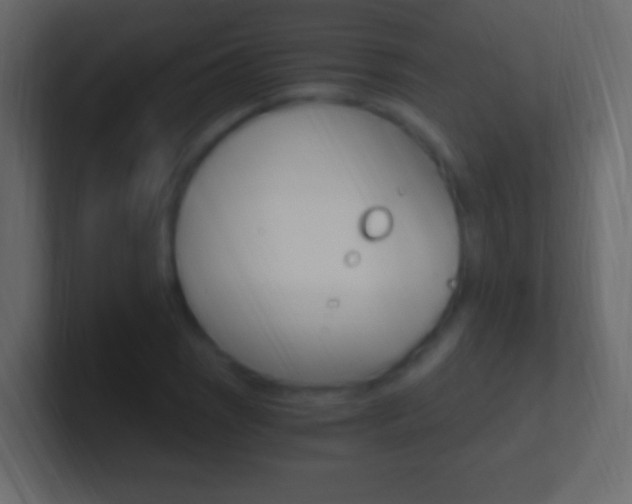 X0000101441121200807071021