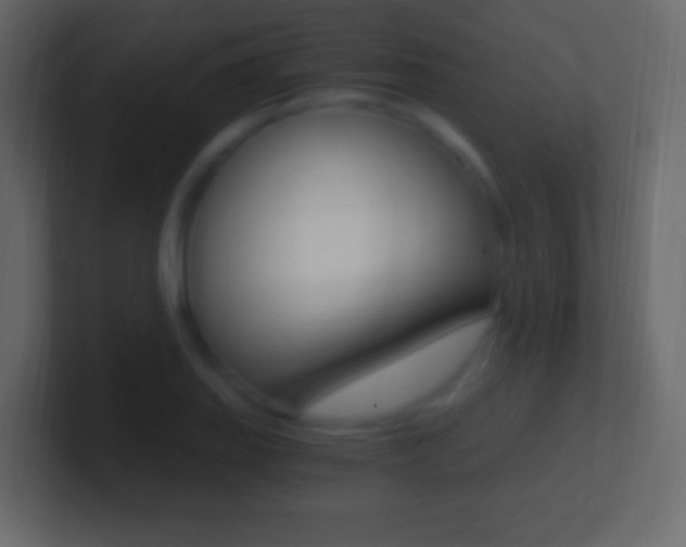 X0000101441127200807071021