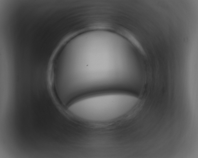 X0000101441132200807071021