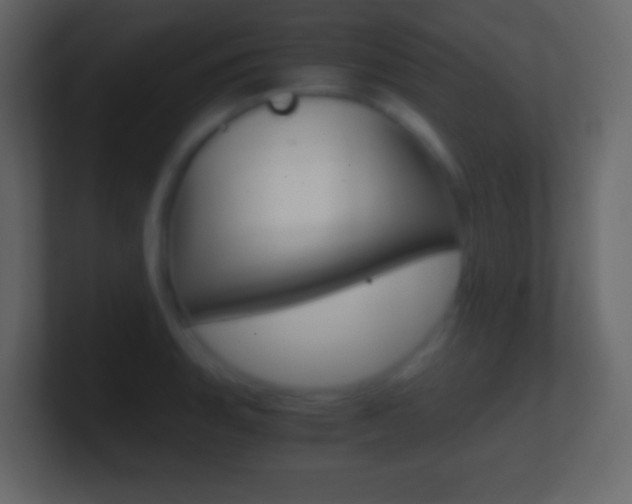 X0000101441135200807071021