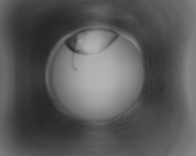 X0000101441136200807071021