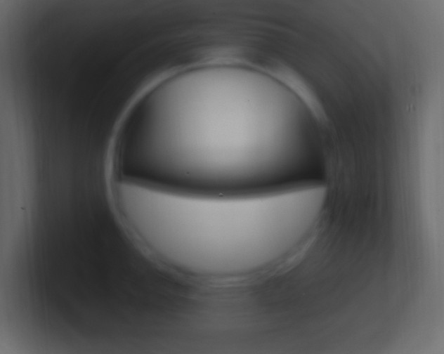 X0000101441142200807071021