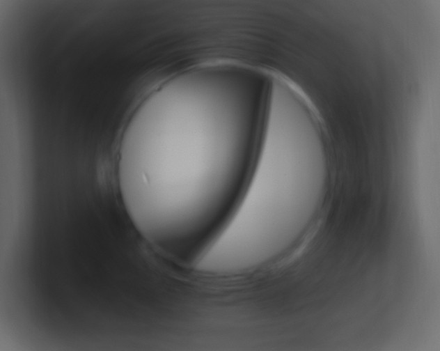X0000101441145200807071021