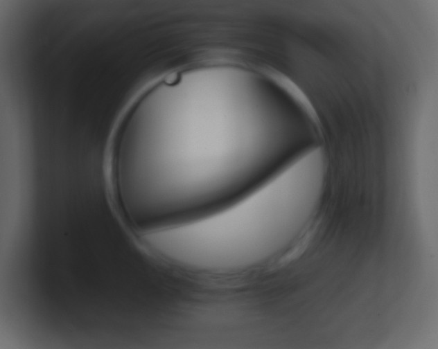 X0000101441149200807071021