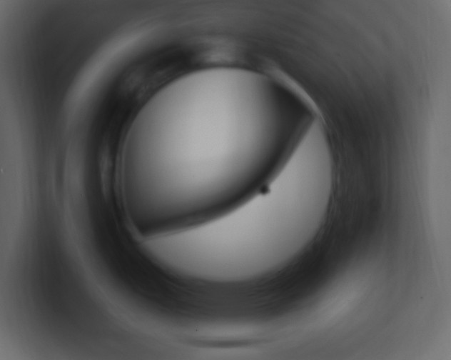 X0000101441151200807071021