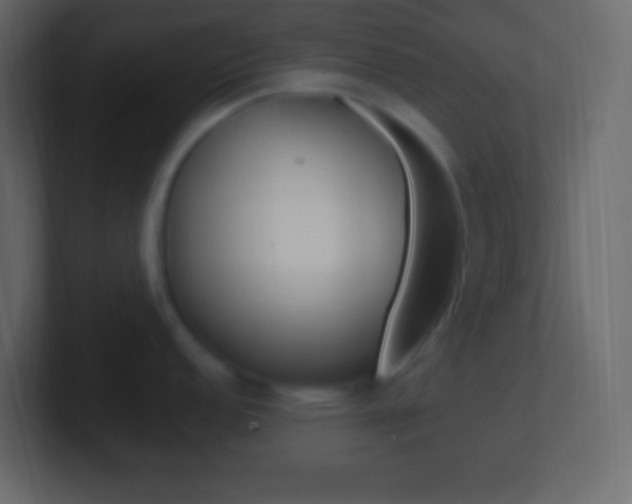 X0000101441152200807071021