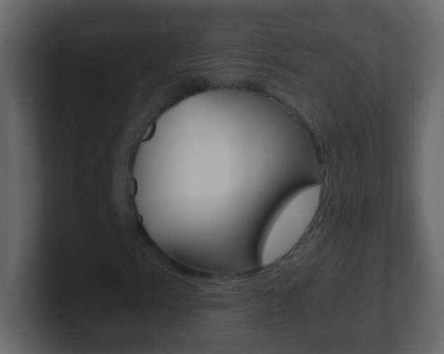 X0000101441153200807071021