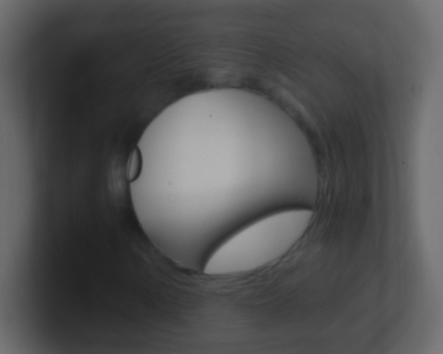 X0000101441154200807071021