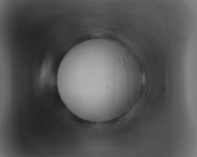 X0000101441155200807071021