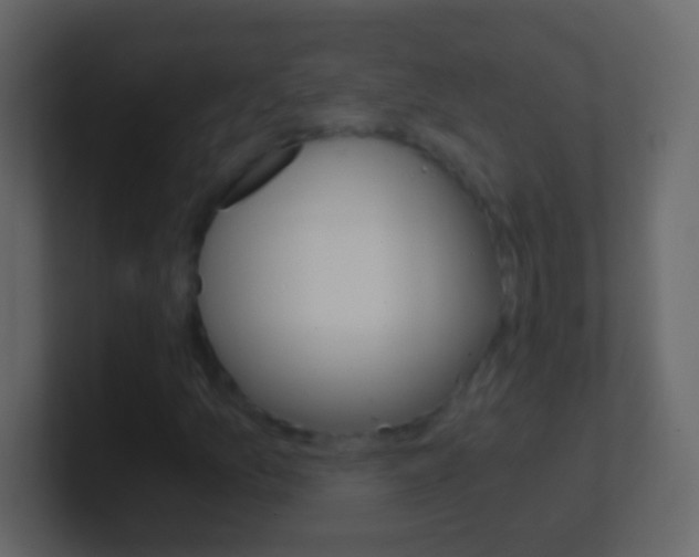 X0000101441157200807071021