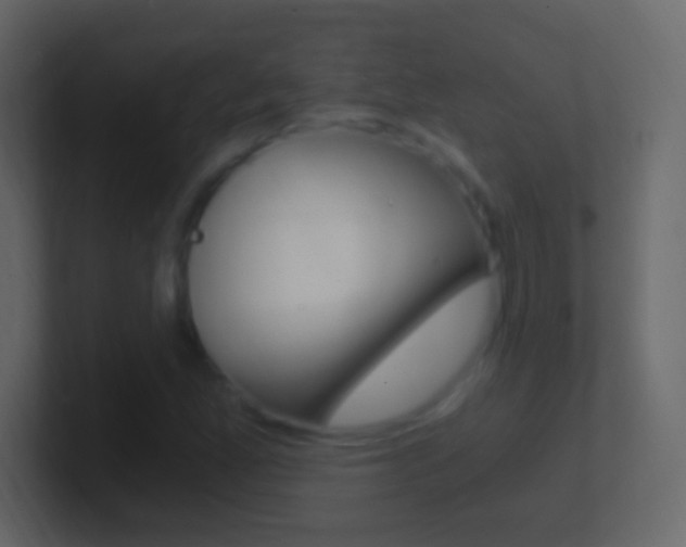 X0000101441165200807071021