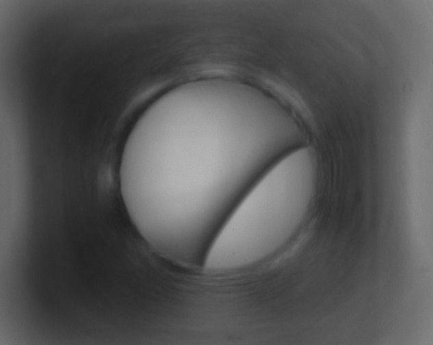X0000101441166200807071021