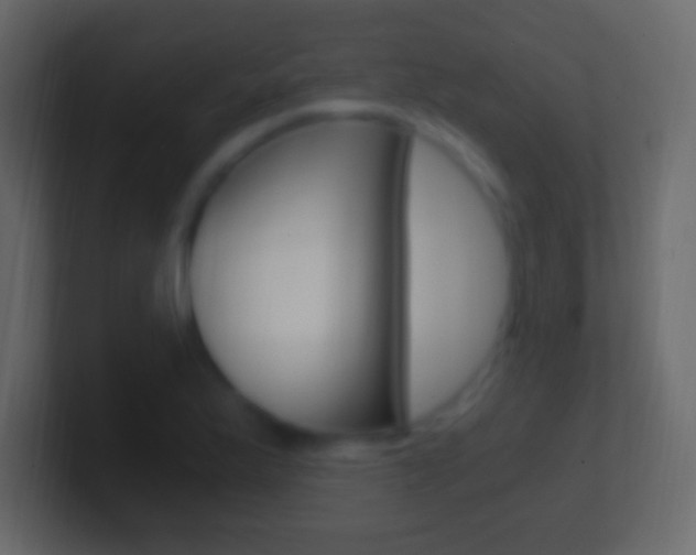 X0000101441175200807071020