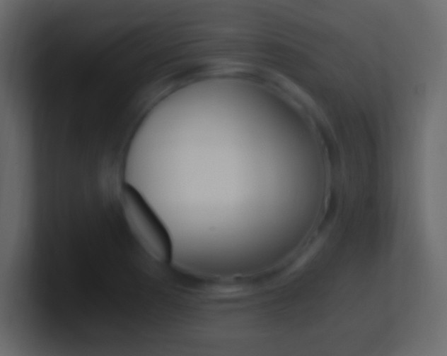X0000101441177200807071020