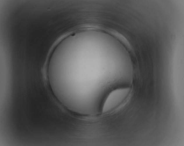 X0000101441182200807071020