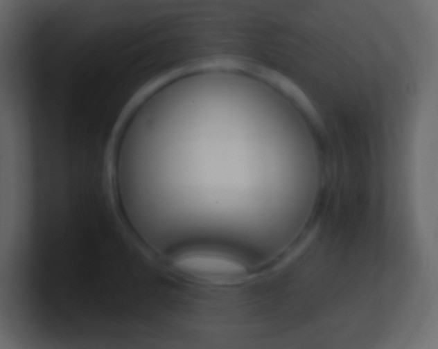 X0000101441184200807071020