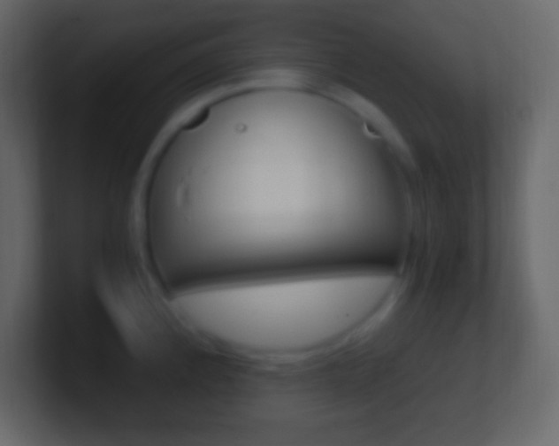 X0000101441192200807071020