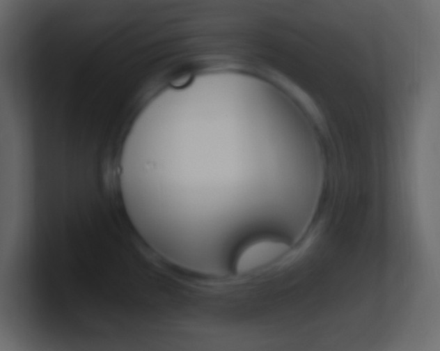 X0000101441193200807071020