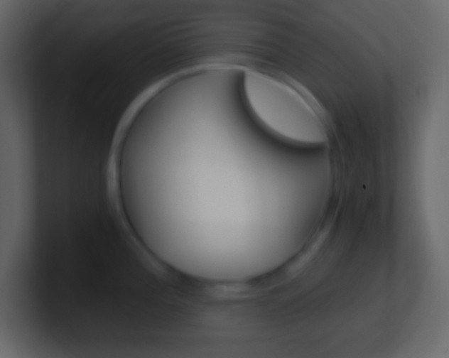 X0000101441196200807071020