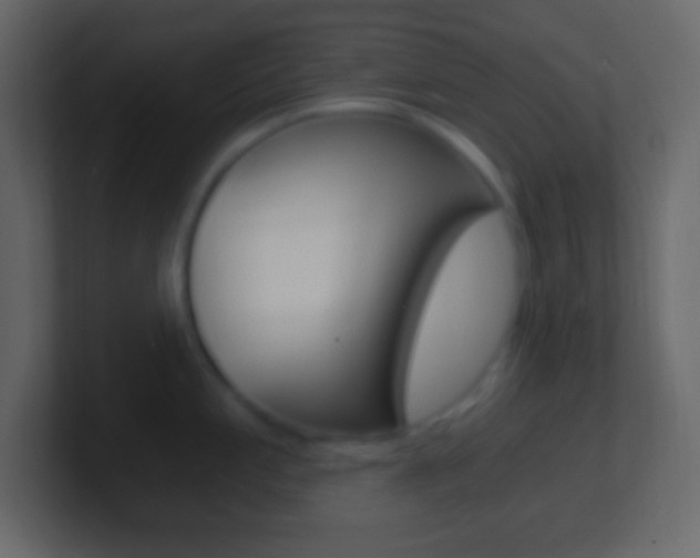X0000101441197200807071020
