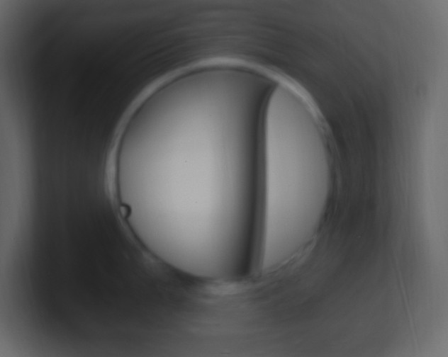 X0000101441199200807071020