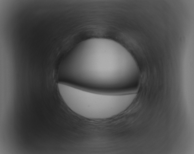 X0000101441202200807071019