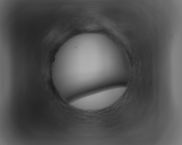 X0000101441205200807071019
