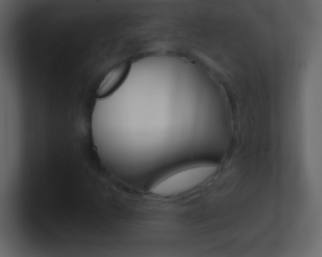 X0000101441206200807071019