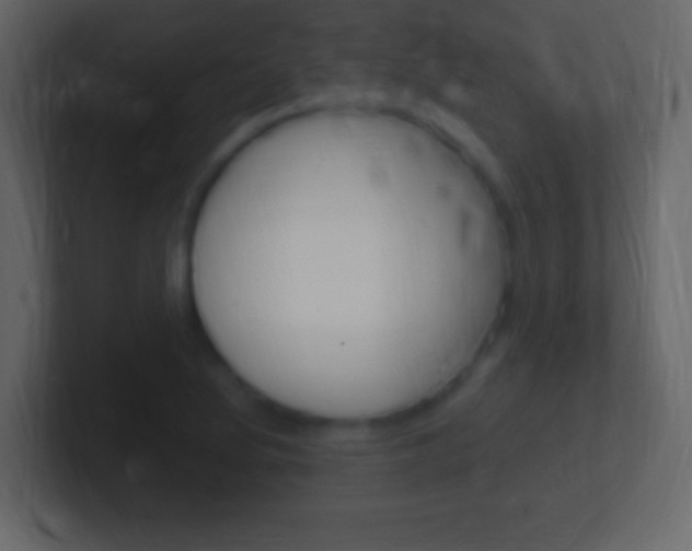 X0000101441220200807071020