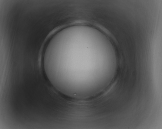 X0000101441222200807071020
