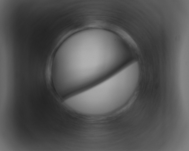 X0000101441228200807071020