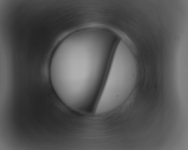 X0000101441230200807071020