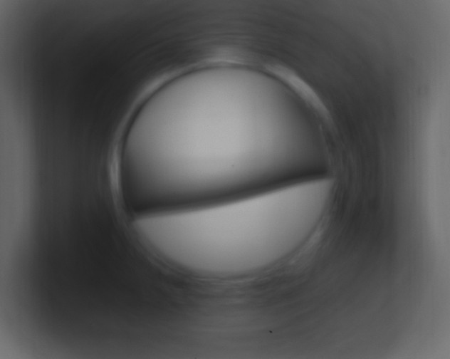 X0000101441238200807071020