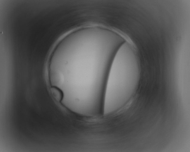 X0000101441239200807071020